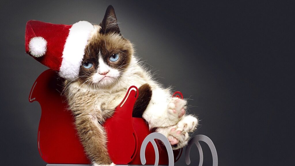 Grumpy Cat's Worst Christmas Ever (2014)