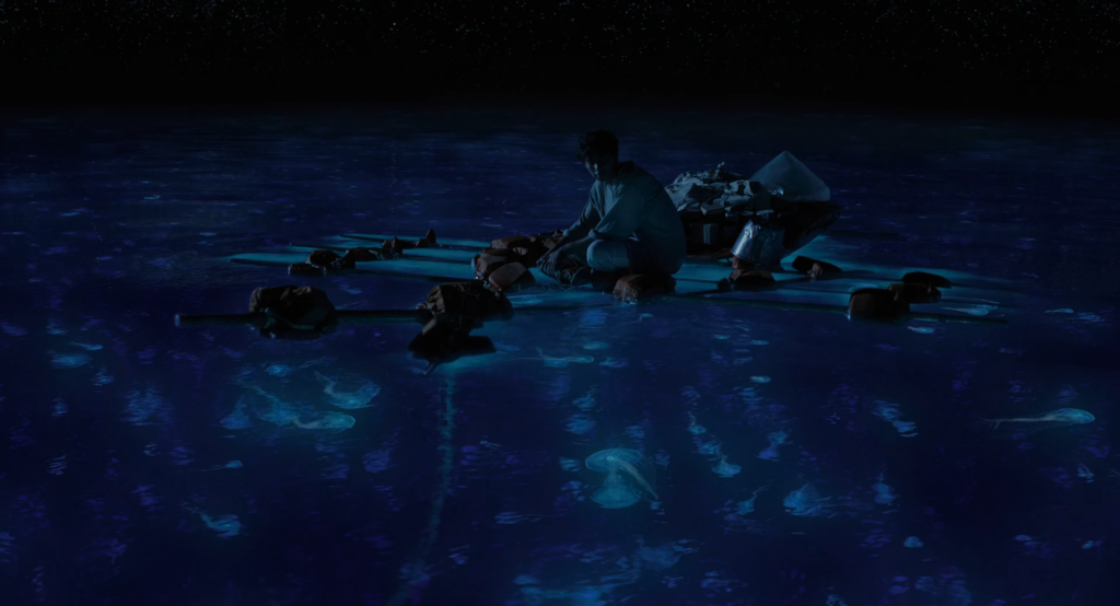 Life of Pi (2012) directed by Ang Lee.