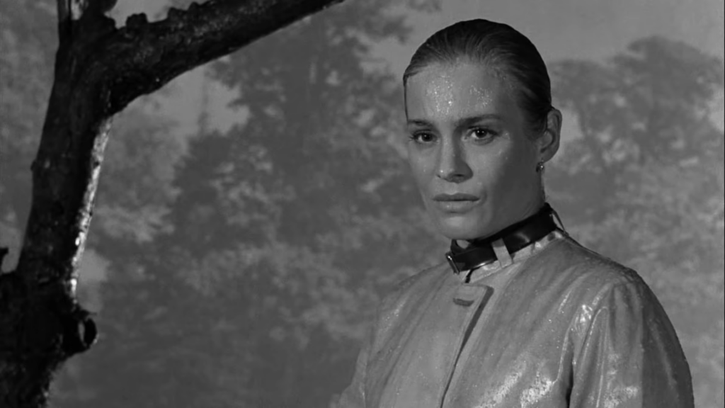 Ingrid Thulin in Wild Streawberries (1957) directed by Ingmar Bergman.